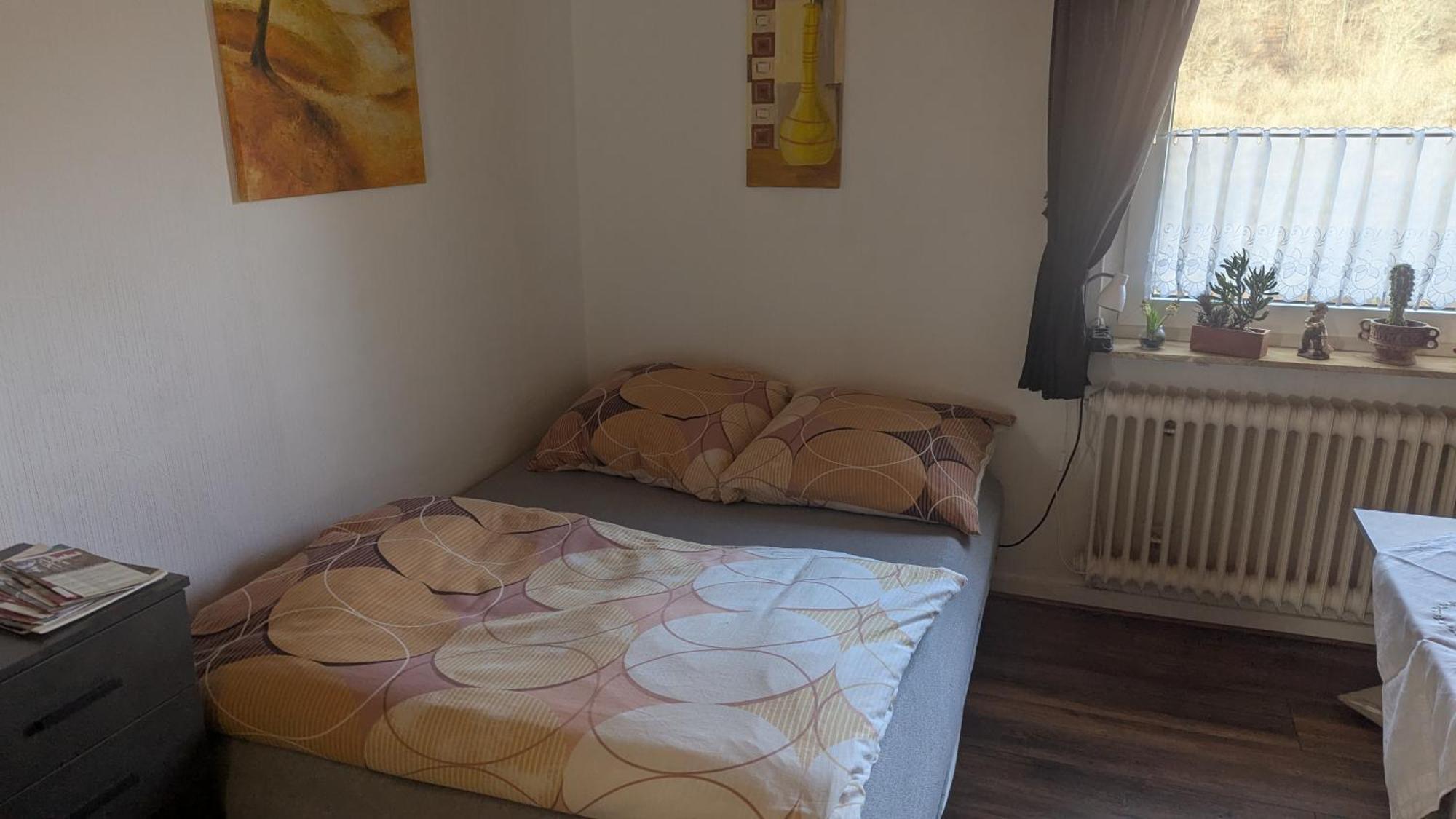 Ferienwohnung Mit Terrasse Fuer 1-4 Personen アルテナ エクステリア 写真