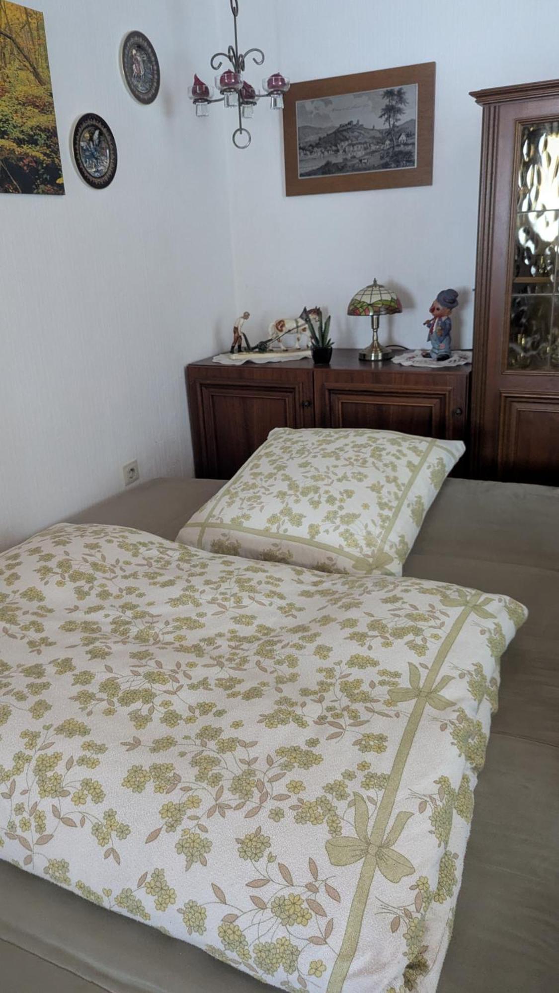 Ferienwohnung Mit Terrasse Fuer 1-4 Personen アルテナ エクステリア 写真